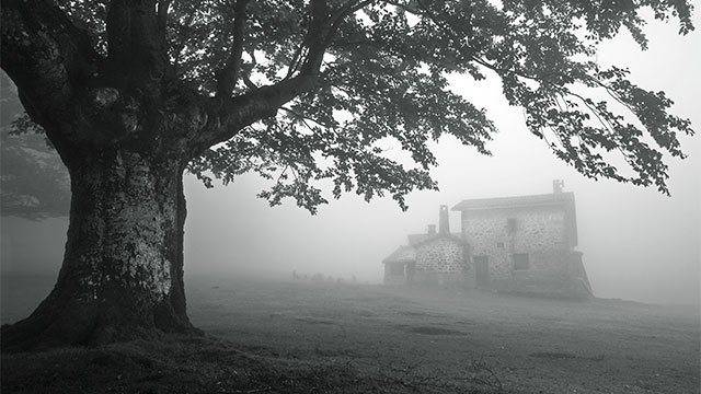 Image - هل تجرؤ؟ اليك 5 أفلام الأكثر رعباً