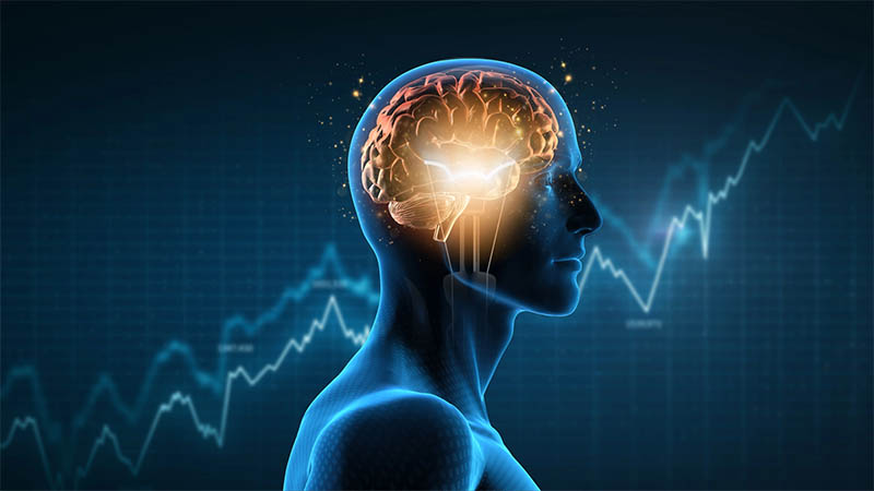 Image - استخدام الذكاء الاصطناعي يقلل من نشاط الدماغ