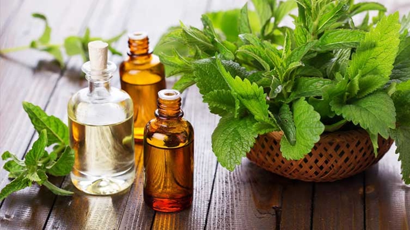 Image - فوائد زيت النعناع للشفايف